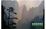 張家界國家森林公園、寶峰湖/黃龍洞、鳳凰古城、三峽八日游